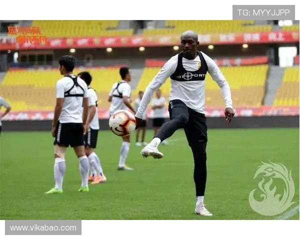 武汉飞盘队耐力表现数据分析揭示运动员潜力与训练效果的深度探讨 武汉飞盘队耐力表现数据分析揭示运动员潜力与训练效果的深度探讨