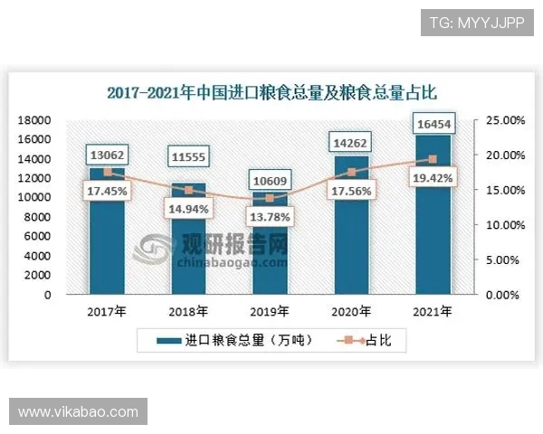深圳羽毛球队的节奏与战略分析探讨及未来发展方向研究 深圳羽毛球队的节奏与战略分析探讨及未来发展方向研究