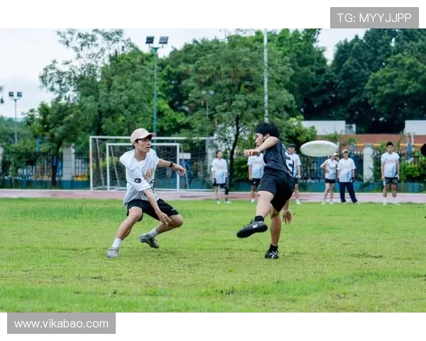 深圳飞盘队与上海飞盘队赛后分析力量对比与战术总结 深圳飞盘队与上海飞盘队赛后分析力量对比与战术总结