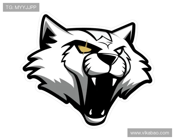 聚焦CSGO:探索WE战队在电子竞技中的崛起与影响力 聚焦CSGO:探索WE战队在电子竞技中的崛起与影响力