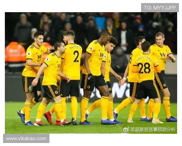 2013年热火队与森林狼队的精彩对决回顾与分析