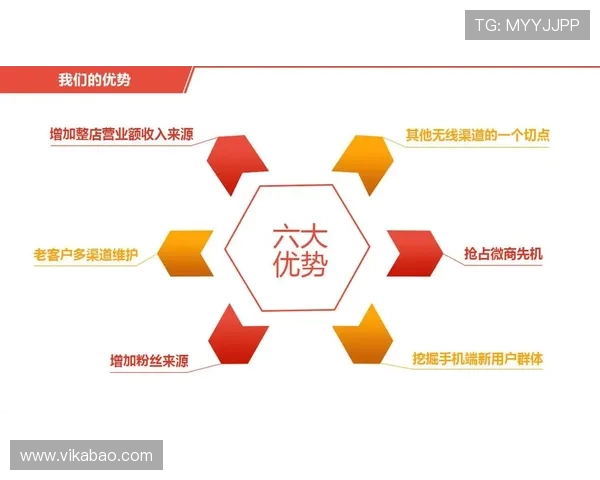 日本与欧美下载方式对比迅雷下载的优势与劣势分析