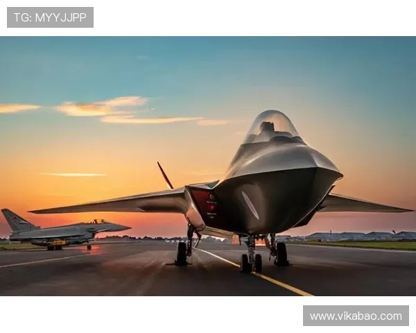 维迪斯与海牙激战正酣谁能在这场较量中笑到最后