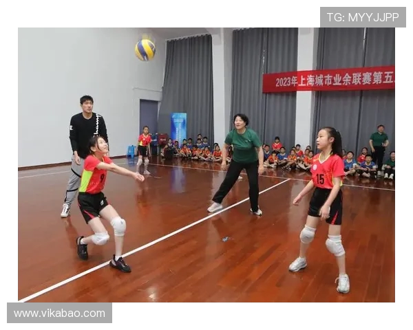 上海排球队个人能力排名创新高引发广泛关注与讨论